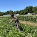 The True Cost of Organic Farming