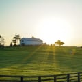 Which Is Right for You? Ranch vs Farm vs Homestead Compared
