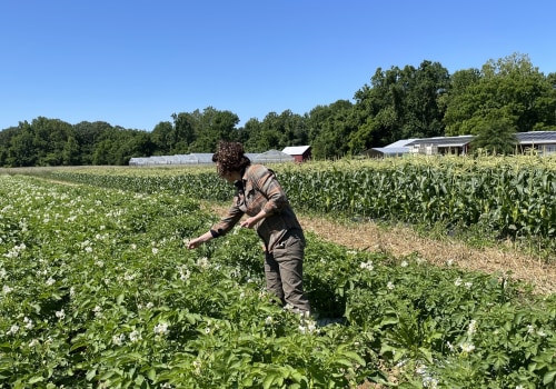 The True Cost of Organic Farming