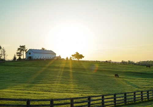 Which Is Right for You? Ranch vs Farm vs Homestead Compared