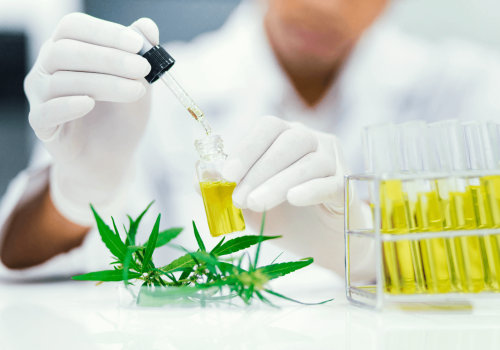 Is CBN Truly Non-Intoxicating? Debunking Myths About CBN Psychoactivity