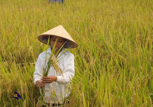 Subsistence Farming and Agriculture: A Path to Survival, Sustainability and Cultural Heritage